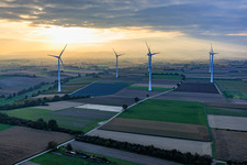 Wind farm Freckenfeld in the evening light from the west in Freckenfeld in the state Rhineland-Palatinate, Germany