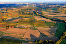 Oblique view of Vineyards in autumnal colors between Dierbach and Oberhausen in Oberhausen in the state Rhineland-Palatinate, Germany