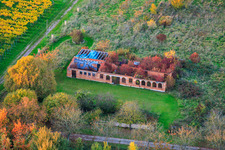 Overgrown, roofless building ruin in a field in Barbelroth in the state Rhineland-Palatinate, Germany