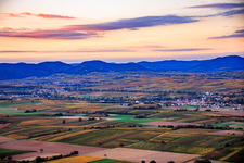 Vineyards awash in autumnal colors in the evening between Horbach and Klingbach in the district Ingenheim in Billigheim-Ingenheim in the state Rhineland-Palatinate, Germany