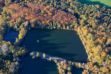 Oblique view of Bear Lake in Ottersheim bei Landau in the state Rhineland-Palatinate, Germany