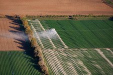 Dust clouds during the application of lime fertilizer to a vegetable field in the district Niederlustadt in Lustadt in the state Rhineland-Palatinate, Germany