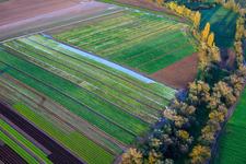 Vegetable and onion fields by the Kaltenbach stream in Freisbach in the state Rhineland-Palatinate, Germany