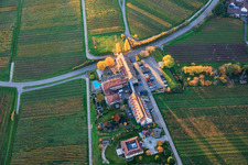 Aerial view of Leinsweilerhof in autumn in Leinsweiler in the state Rhineland-Palatinate, Germany