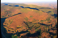 Autumn forest below the Ohrensfels in Frankweiler in the state Rhineland-Palatinate, Germany