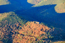 Aerial view of Meisteresel Castle ruins in the autumnal forest in Ramberg in the state Rhineland-Palatinate, Germany