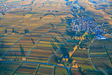 View of the village from the west, nestled between vineyards colored with autumnal hues, in the evening light. in Roschbach in the state Rhineland-Palatinate, Germany