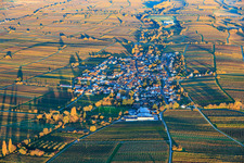 Aerial view of View of the village from the west, nestled between vineyards colored with autumnal hues, in the evening light. in Roschbach in the state Rhineland-Palatinate, Germany