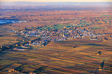 View of the village amidst autumn-colored vineyards from the southwest in the evening light in Edesheim in the state Rhineland-Palatinate, Germany