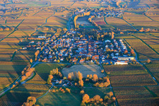 View of the village from the west, nestled between vineyards colored with autumnal hues, in the evening light. in Walsheim in the state Rhineland-Palatinate, Germany