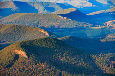 Sandstone climbing rocks Kieungerfels, Rötzenfels and Dimbergpfeiler in the Palatinate Forest in the district Gossersweiler in Gossersweiler-Stein in the state Rhineland-Palatinate, Germany