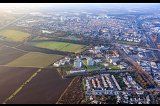 BG Clinic Ludwigshafen from the east in the district Oggersheim in Ludwigshafen am Rhein in the state Rhineland-Palatinate, Germany