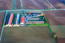Wilfried Günther Turkey Farm and Klosterhof Vegetables GbR in Zeiskam in the state Rhineland-Palatinate, Germany