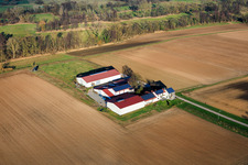 Aerial view of Rosenhof Wine and Sparkling Wine Estate in Wörth am Rhein in the state Rhineland-Palatinate, Germany