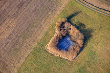 Frozen ponds in the floodplains in Leimersheim in the state Rhineland-Palatinate, Germany