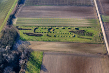 Biotope with young trees in Herxheim bei Landau in the state Rhineland-Palatinate, Germany