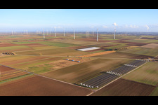 Mobile chicken coop for free-range eggs and the 24-hour egg vending machines at Buschhof in Offenbach an der Queich in the state Rhineland-Palatinate, Germany