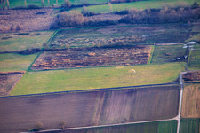 Billigheimer Bruch in the district Mühlhofen in Billigheim-Ingenheim in the state Rhineland-Palatinate, Germany