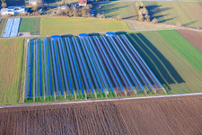 Aerial view of Polytunnel greenhouses in Offenbach an der Queich in the state Rhineland-Palatinate, Germany