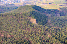 Schlüsselfels (Buntsandsteinfelsen) in Busenberg in the state Rhineland-Palatinate, Germany