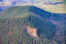 Schlüsselfels (Buntsandsteinfelsen) in Busenberg in the state Rhineland-Palatinate, Germany