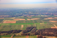Tiefental from the south in the district Ingenheim in Billigheim-Ingenheim in the state Rhineland-Palatinate, Germany