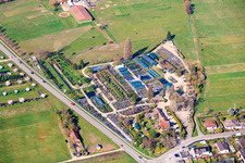 Plant nursery Toskanapark in the district Speyerdorf in Neustadt an der Weinstraße in the state Rhineland-Palatinate, Germany