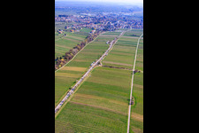 Almond Mile from the southwest (Villa Street) in Edenkoben in the state Rhineland-Palatinate, Germany