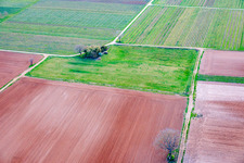 UL airfield of the Motorschirme-Freunde-Pfalz eV (Motor Paragliding Friends of the Palatinate) at the site of the former village of Schreinshausen in Meckenheim in the state Rhineland-Palatinate, Germany