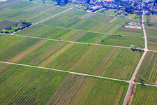 Vineyards and campervan parking area in the north of the village in Rhodt unter Rietburg in the state Rhineland-Palatinate, Germany
