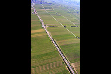 Almond Mile from the southwest (Villa Street) in Edenkoben in the state Rhineland-Palatinate, Germany