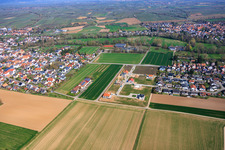Single-family home construction sites in the new development area Nim Niederfeld in the district Ingenheim in Billigheim-Ingenheim in the state Rhineland-Palatinate, Germany