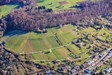 Vineyards of the Dietlinger Klepberg and Ellmendinger Keulebuckel sites in the district Dietlingen in Keltern in the state Baden-Wuerttemberg, Germany