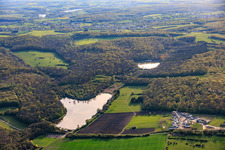 Two fish ponds in the forest Étang de Diebling and Étang de Metzing in Metzing in the state Moselle, France