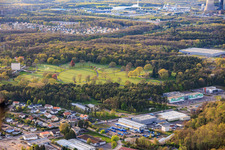 Gravestone rows and parkland at the American Military Cemetery and Memorial Site of Saint-Avold in the district Forêts de Zang et du Steinberg in Saint-Avold in the state Moselle, France