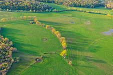 Circular waterholes in meadows in Grostenquin in the state Moselle, France