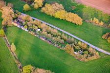 Garden plot of a collector in Altrippe in the state Moselle, France