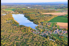 Etang des marais in the forest in Rémering-lès-Puttelange in the state Moselle, France