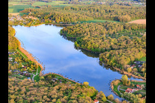 Etang des marais in the forest in Rémering-lès-Puttelange in the state Moselle, France