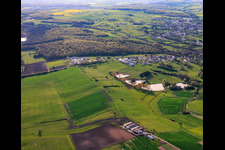 Four ponds on Rue Des ètangs in Metzing in the state Moselle, France