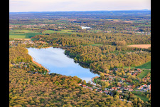 Etang des marais in the forest in Rémering-lès-Puttelange in the state Moselle, France