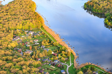 Fishing piers in the reeds on the shore of the Etang des Marais in the forest in Rémering-lès-Puttelange in the state Moselle, France