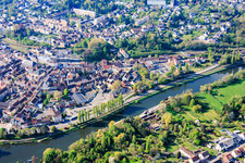 Poplar trees on the banks of the Saar River along Rue du Bac in Saargemünd in the state Moselle, France