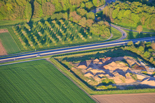 Tree nursery at the exit Rohrbach of the A65 in Rohrbach in the state Rhineland-Palatinate, Germany