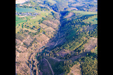 Thuringian forest areas in the Sornmitz valley, severely damaged by bark beetles, with the B90 highway. in the district Thierbach in Remptendorf in the state Thuringia, Germany