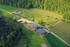 Riding stable CBS-Equestrian Sports Sulzthal in Sulzthal in the state Bavaria, Germany