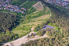 Vineyards of terroir f Hammelburg - Viticulture in Franconia in Hammelburg in the state Bavaria, Germany