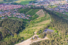 Vineyards of terroir f Hammelburg - Viticulture in Franconia in Hammelburg in the state Bavaria, Germany