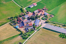 Hof Gut Ruppertzaint natural agriculture GmbH & Co. KG in the district Gänheim in Arnstein in the state Bavaria, Germany