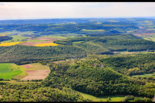 Nature reserve “Ruine Homburg” and Homburg castle ruins near Gössenheim in Gössenheim in the state Bavaria, Germany